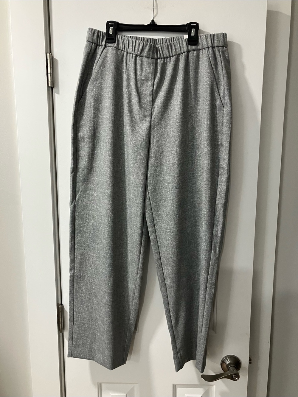 Chico's Silver-Gray Tailored Pull-On Pants